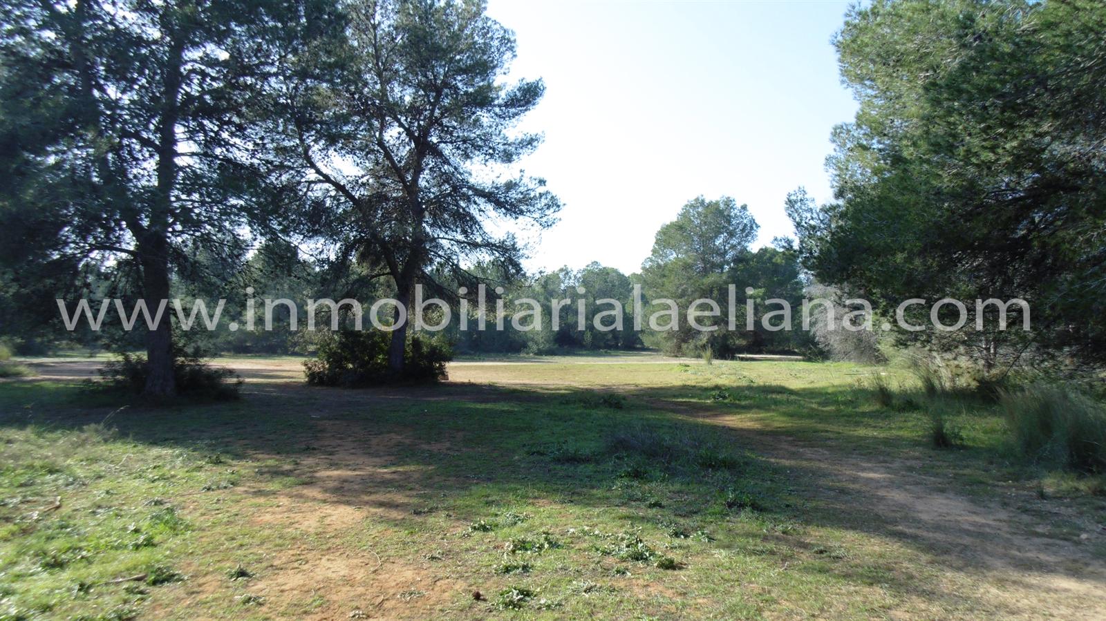 Solar Suelo urbanizable en venta en LA ELIANA - Ref. V5346